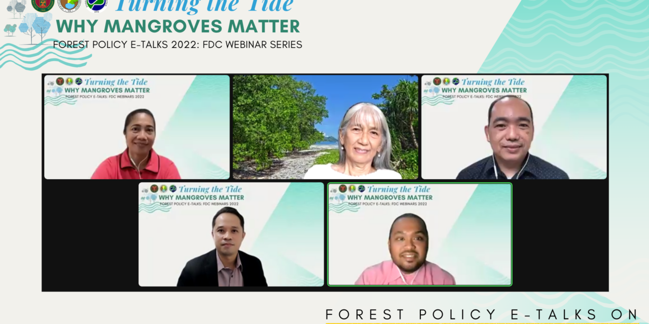<strong>A challenge to turn the tide: FDC concludes its mangroves e-talks series</strong>