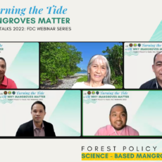 <strong>A challenge to turn the tide: FDC concludes its mangroves e-talks series</strong>